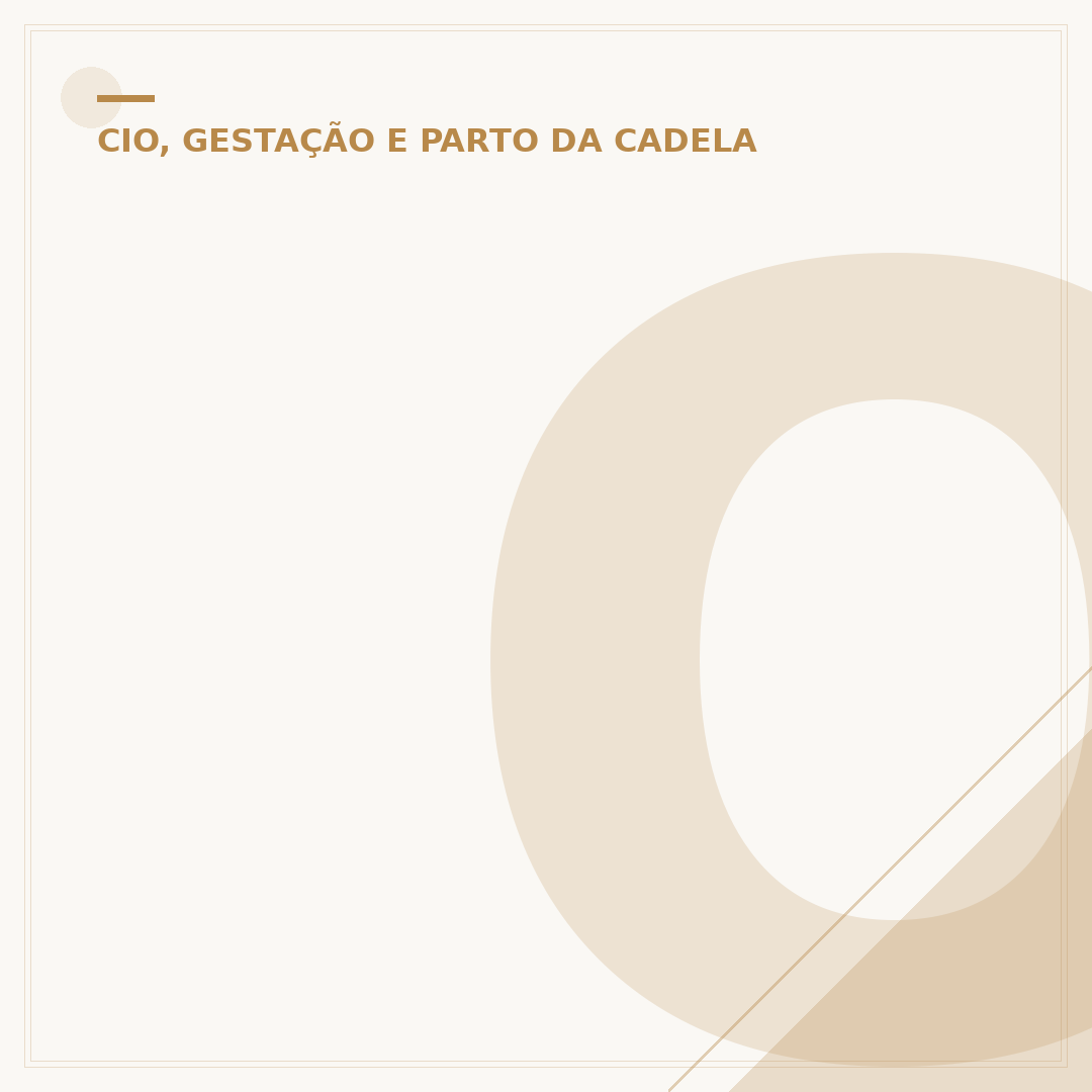 O que sai primeiro no parto da cadela?