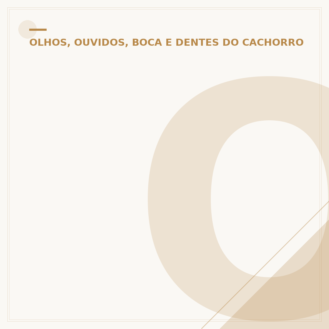 Olho do cachorro lacrimejando: causas, sintomas e cuidados
