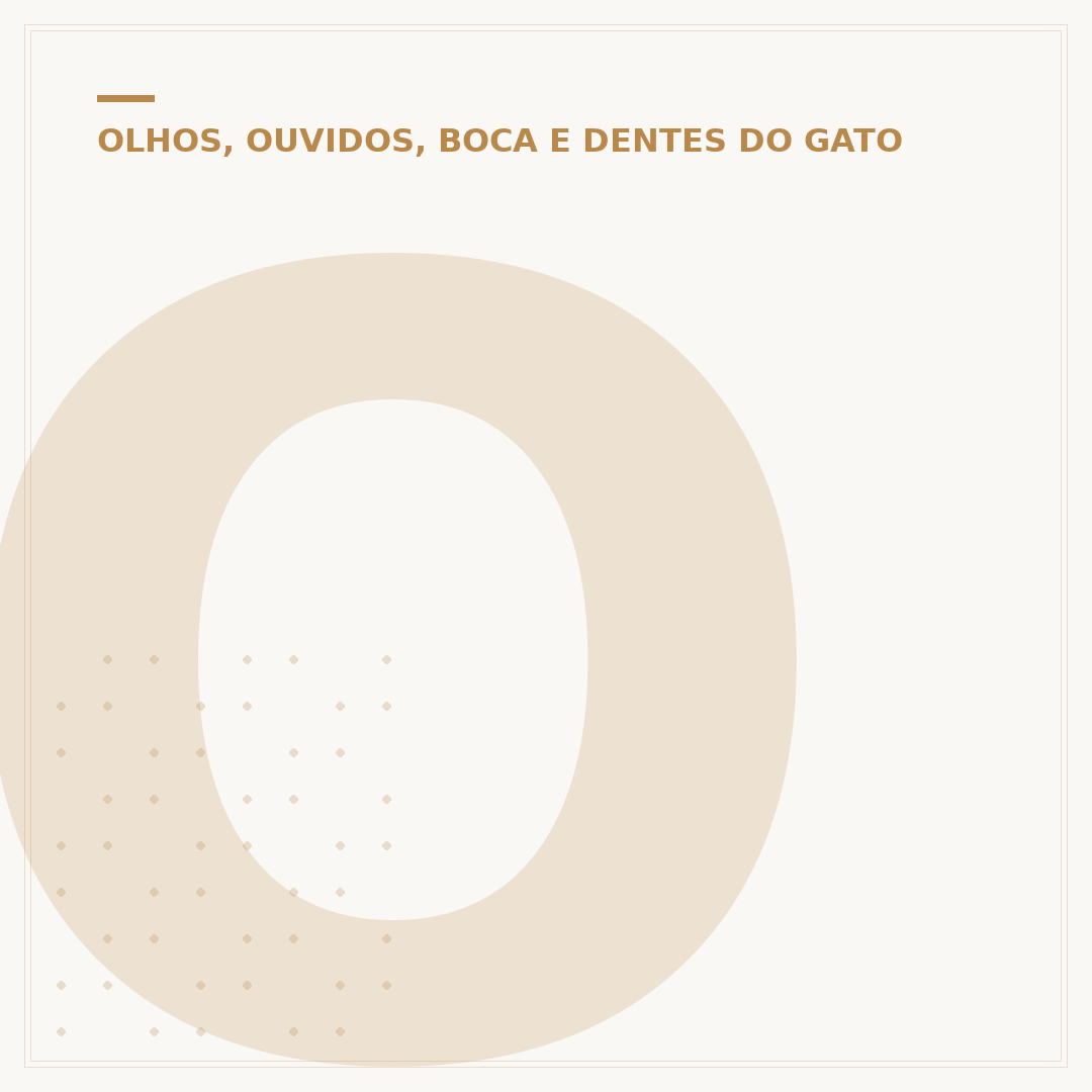 O olho do gato