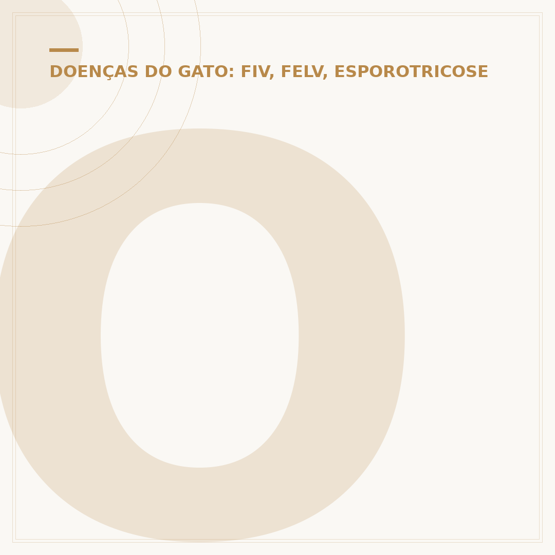 Olho do gato com FELV: sinais, causas e cuidados