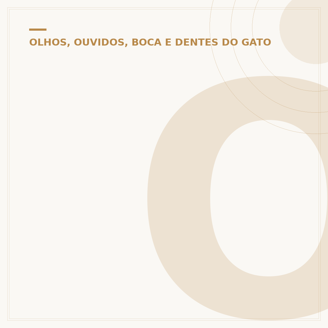 Olho do gato lacrimejando só de um lado: causas e cuidados
