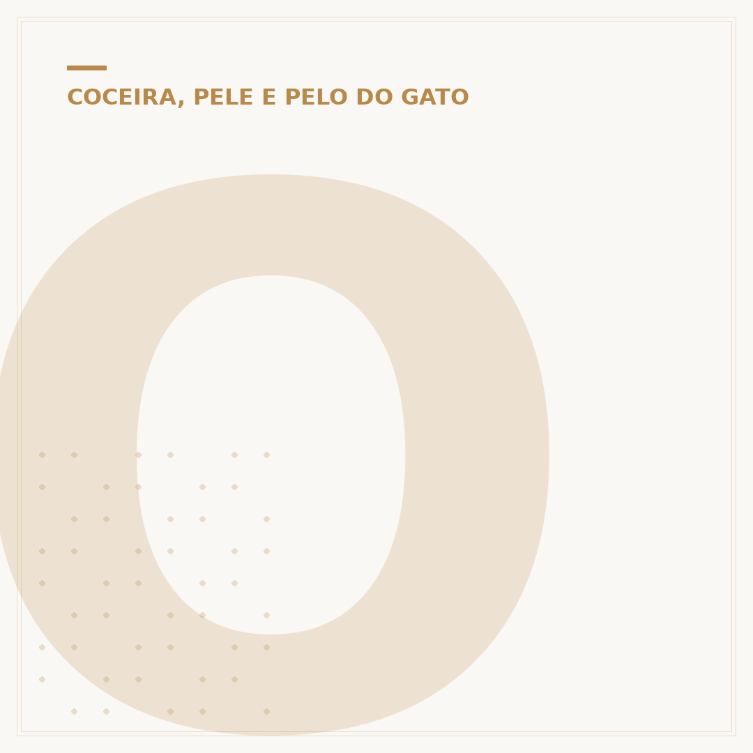 Olho do gato com pele branca: causas e cuidados