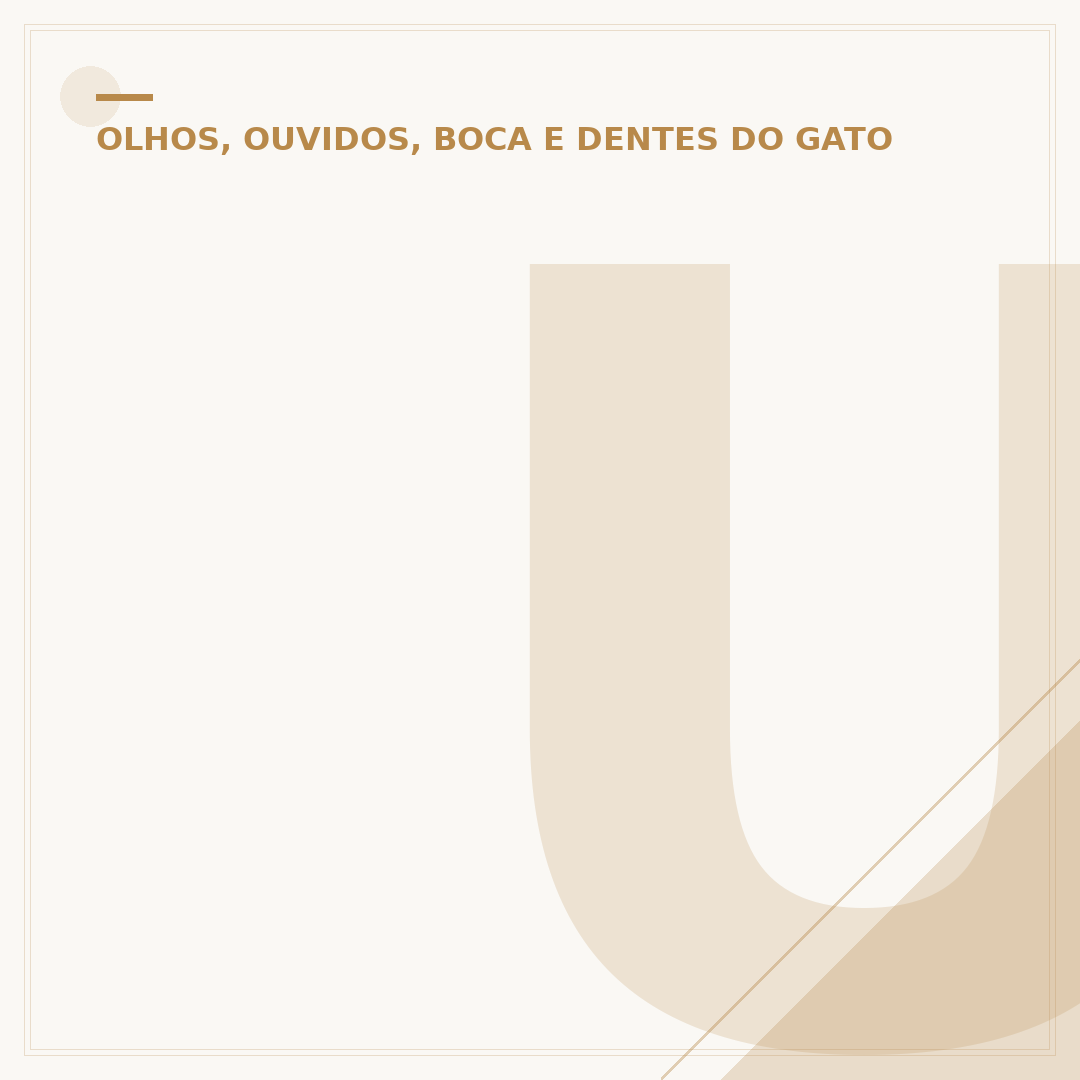 Um olho no peixe e outro no gato