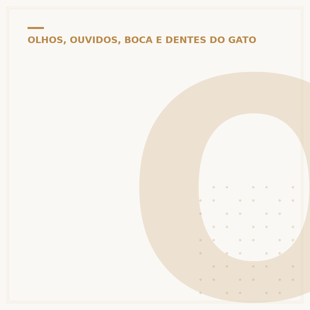 Olhos de gato no escuro: a ciência por trás do brilho
