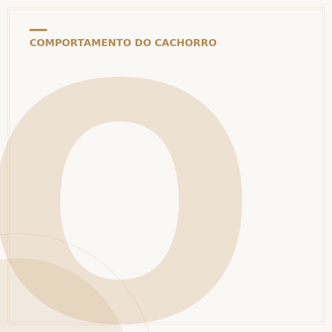 Onde o cachorro gosta de carinho