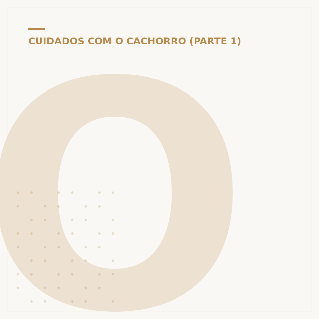 Onde os cachorros vivem: ambientes ideais e cuidados