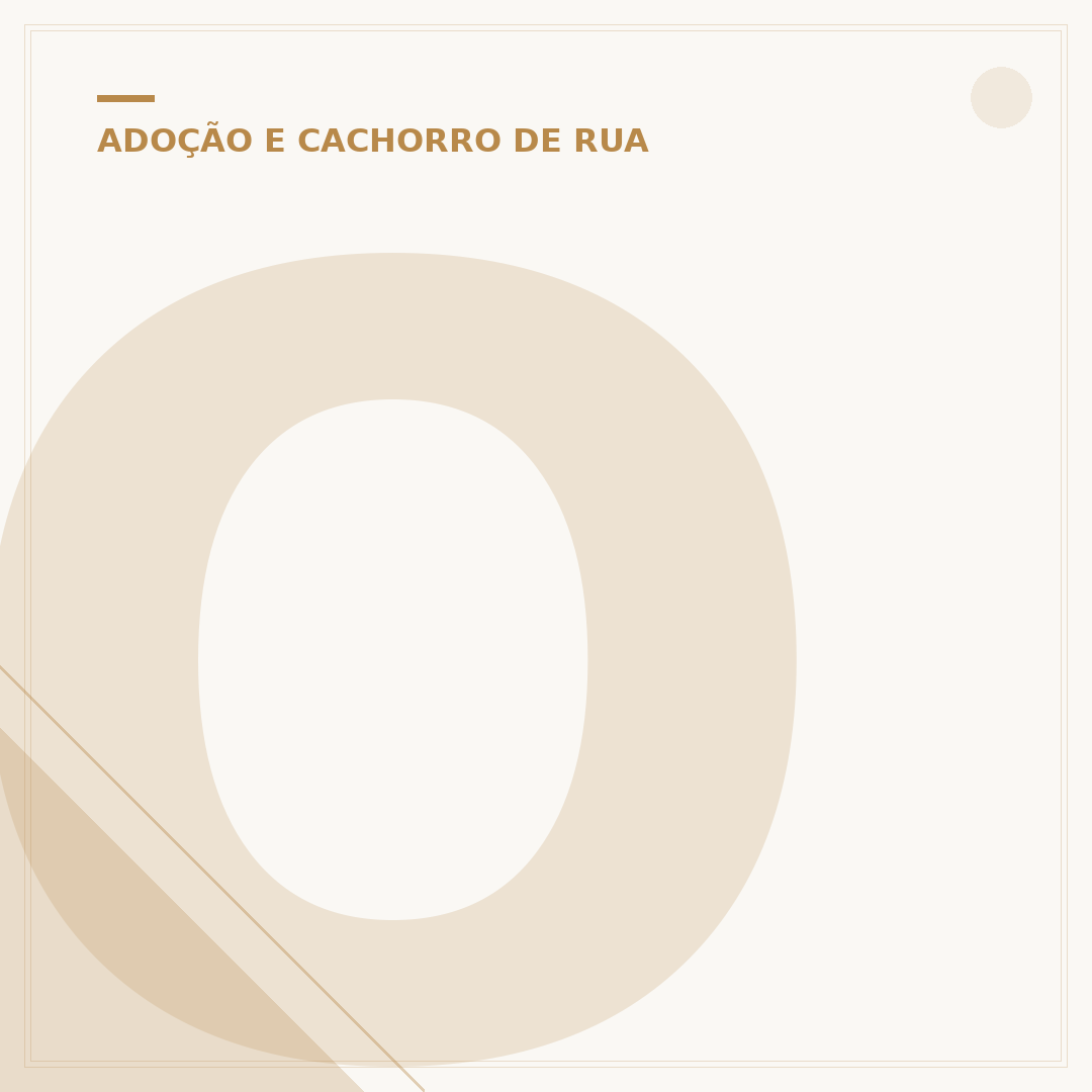 Onde deixar cachorro para adoção responsável?