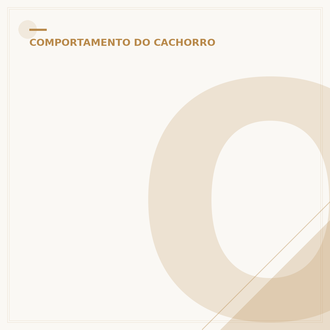 Onde fazer carinho no cachorro: pontos que ele mais gosta