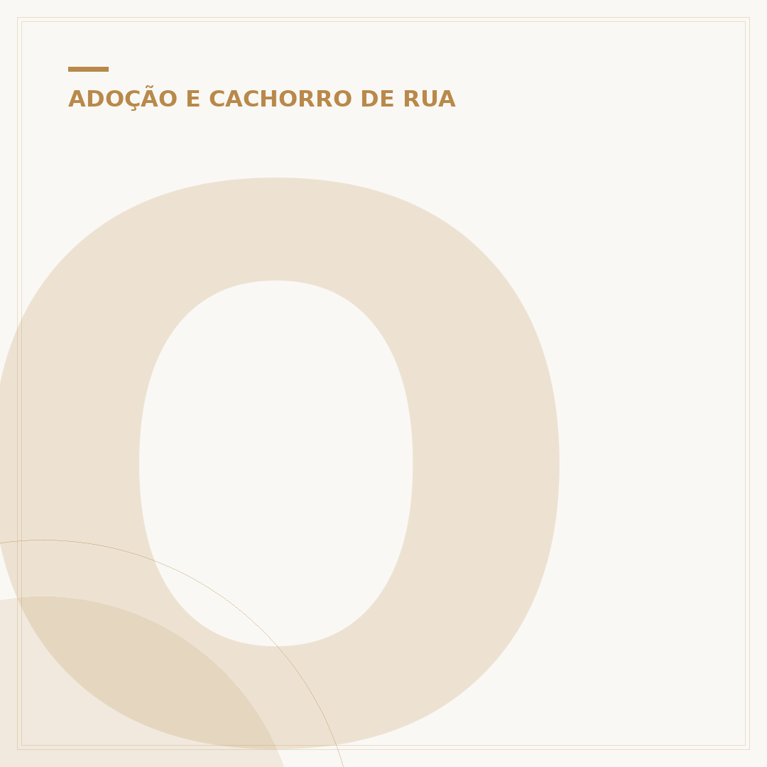 Onde levar um cachorro abandonado: Ações e Abrigos