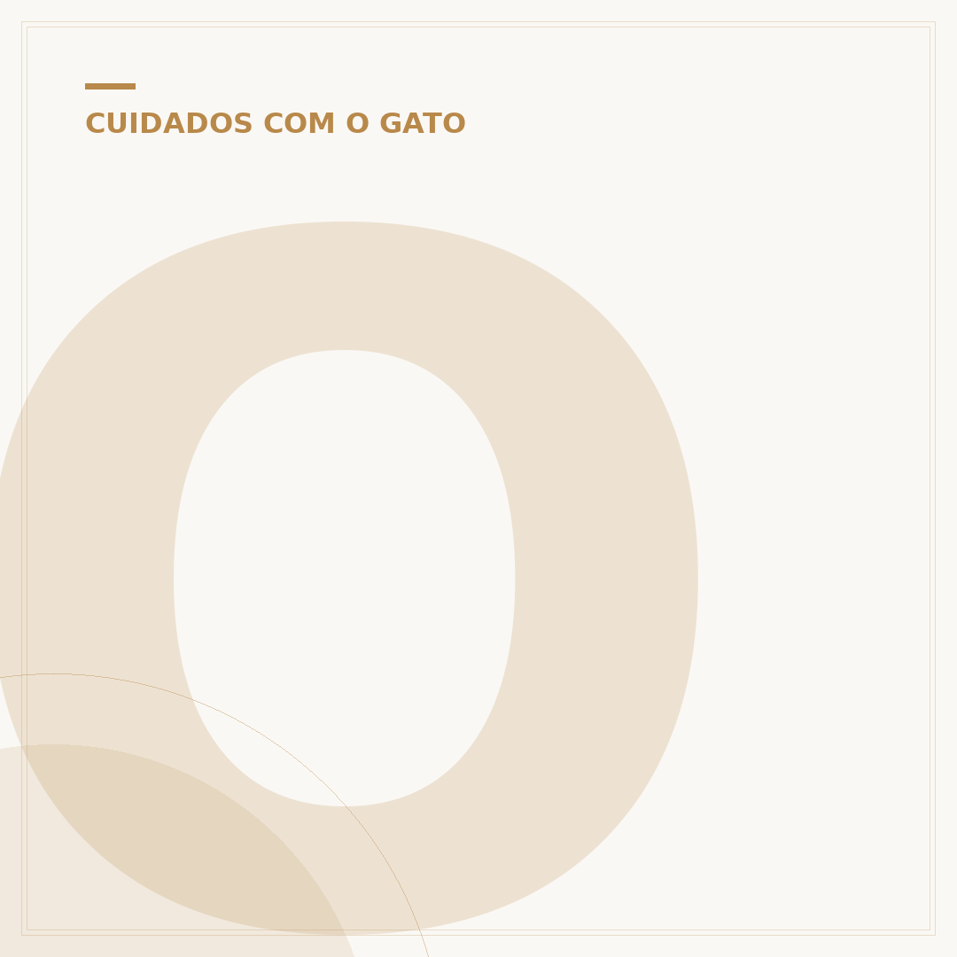 Onde vivem os gatos: ambientes domésticos e selvagens