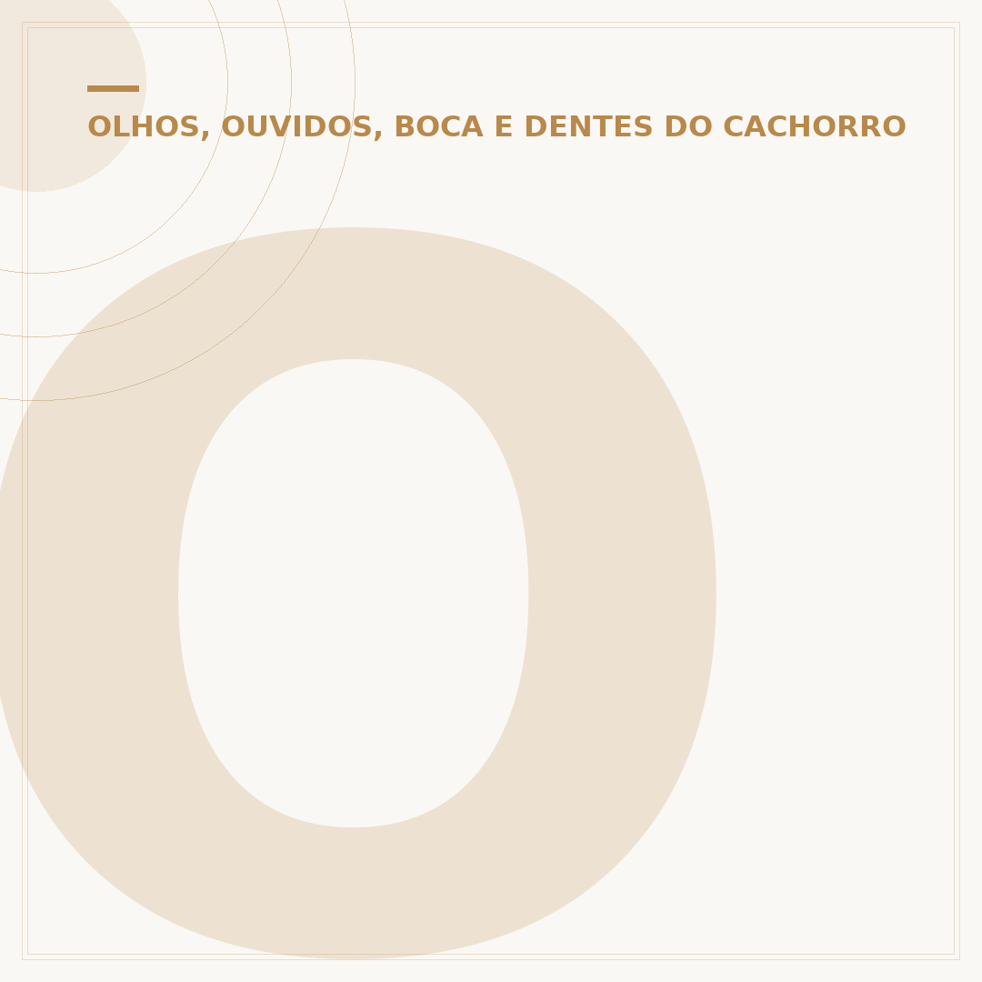 Orelha inchada do cachorro