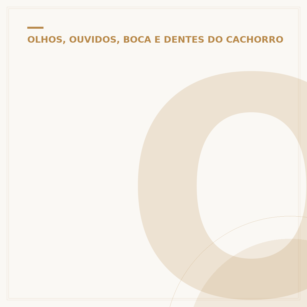 Orelha do cachorro vermelha: causas, sintomas e cuidados