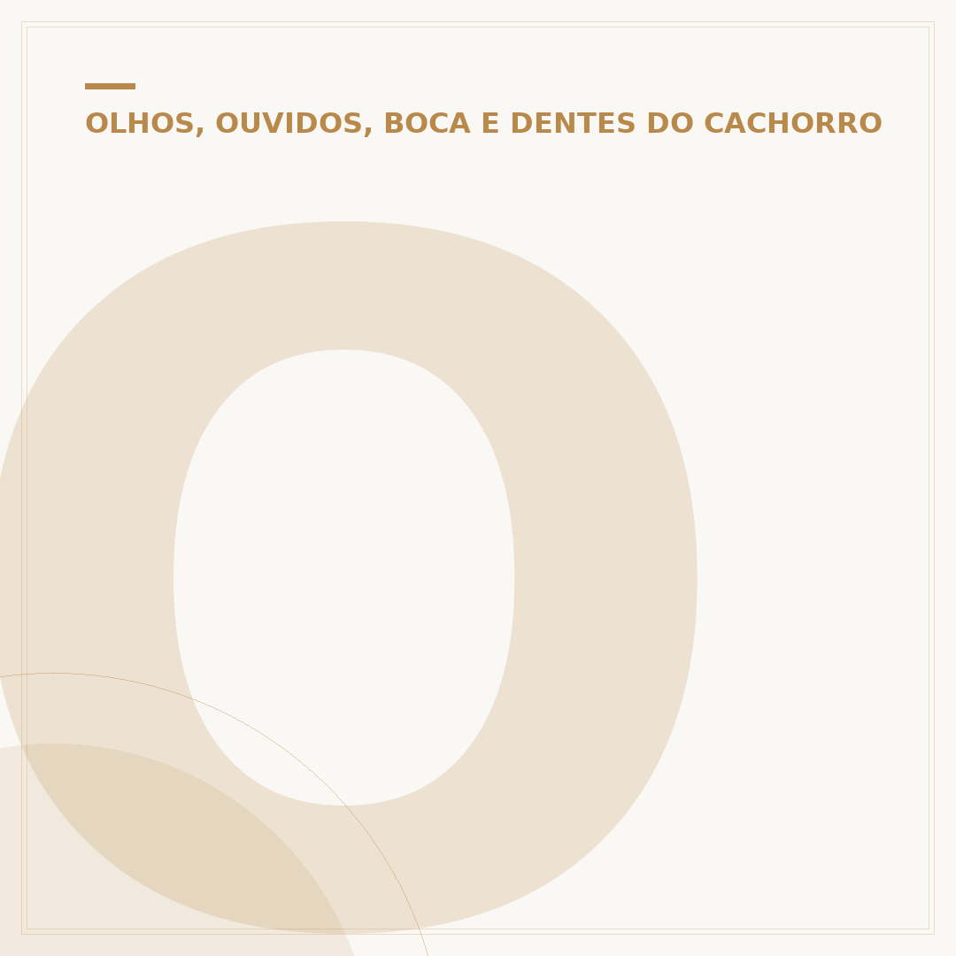 Orelha desidratada para cachorro