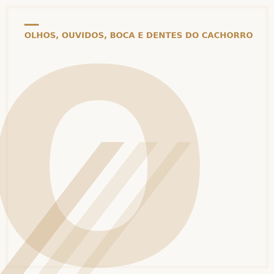 Otite canina externa: causas, sintomas e como tratar