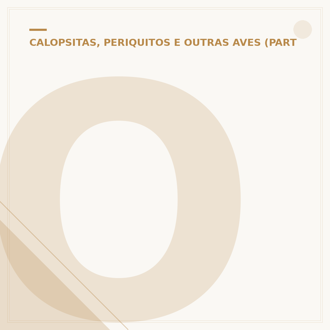 Ovo de calopsita: veja se seu pet pode comer