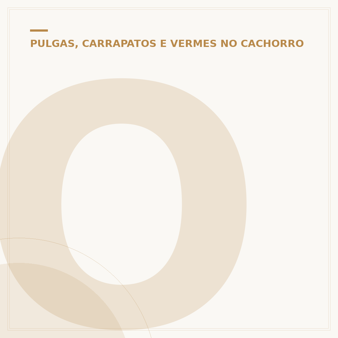 Ovo de carrapato no cachorro: como identificar e tratar