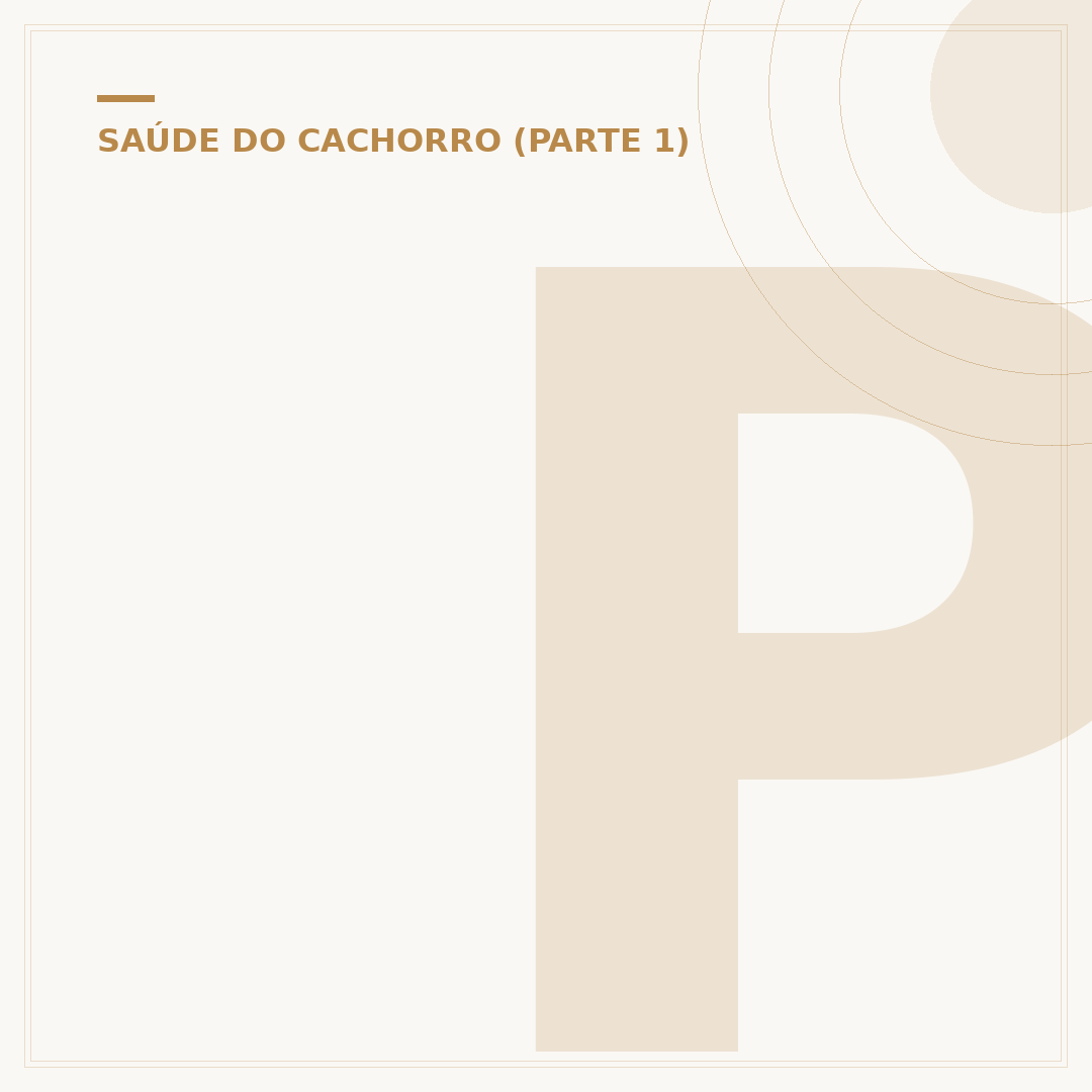 Pancreatite em cachorro: causas, sintomas e o que fazer