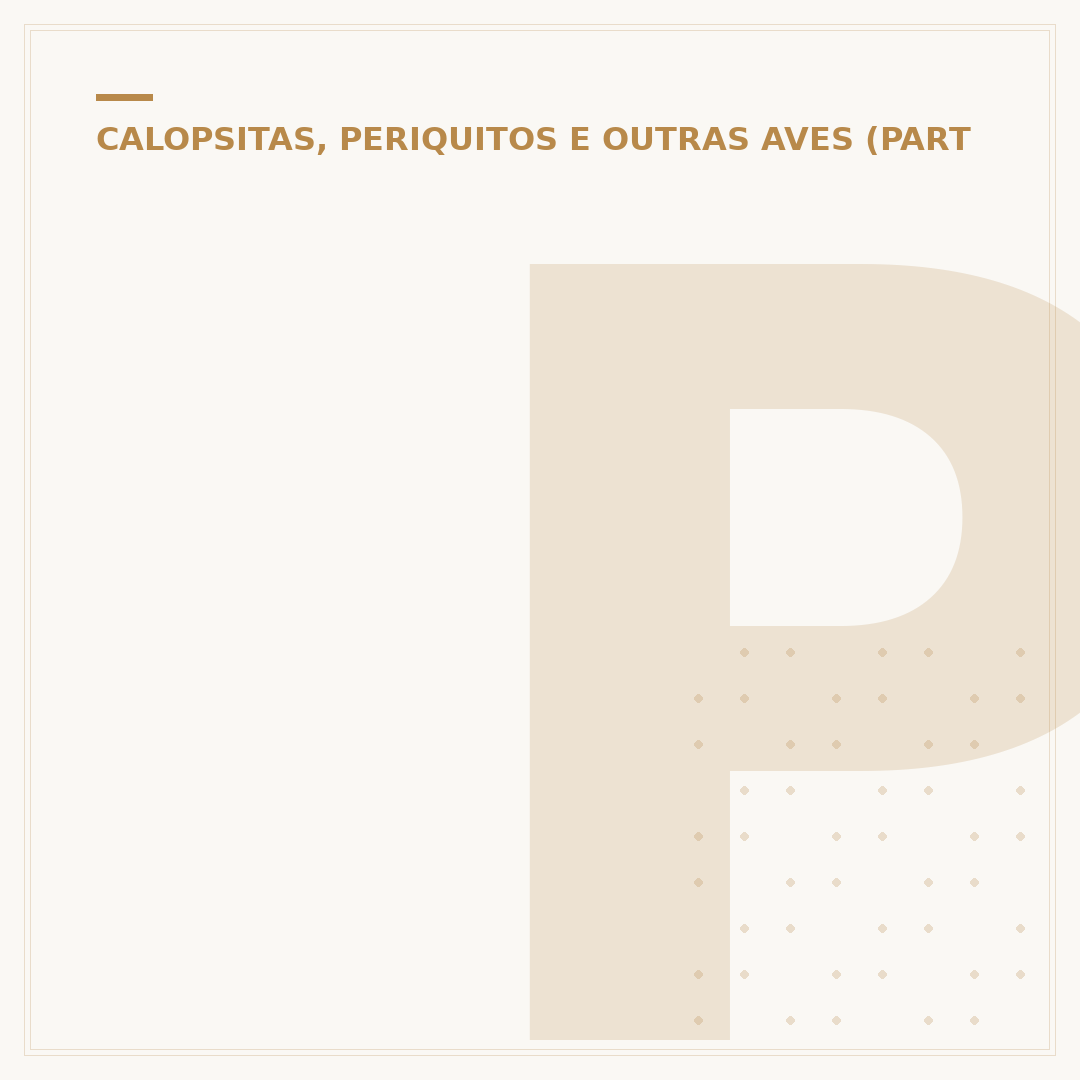 Papagaio branca: espécies, cuidados e curiosidades