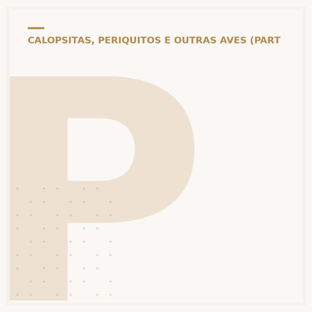 Papagaio cinzento: cuidados, comportamento e curiosidades