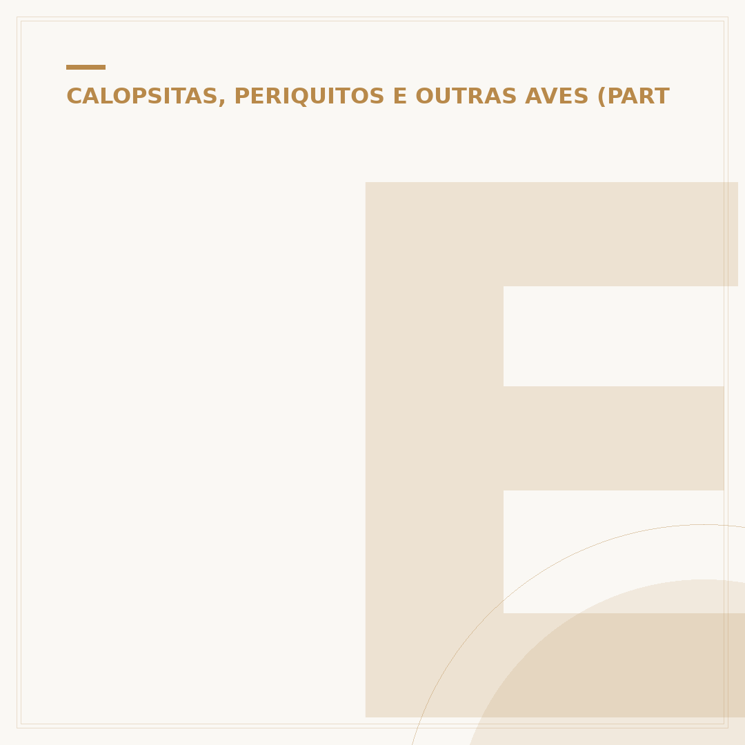 Entendendo a papagaia fêmea: características e cuidados