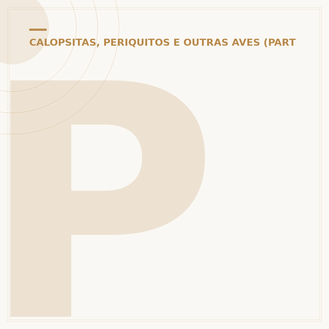Papagaio: conheça o pássaro e suas variações