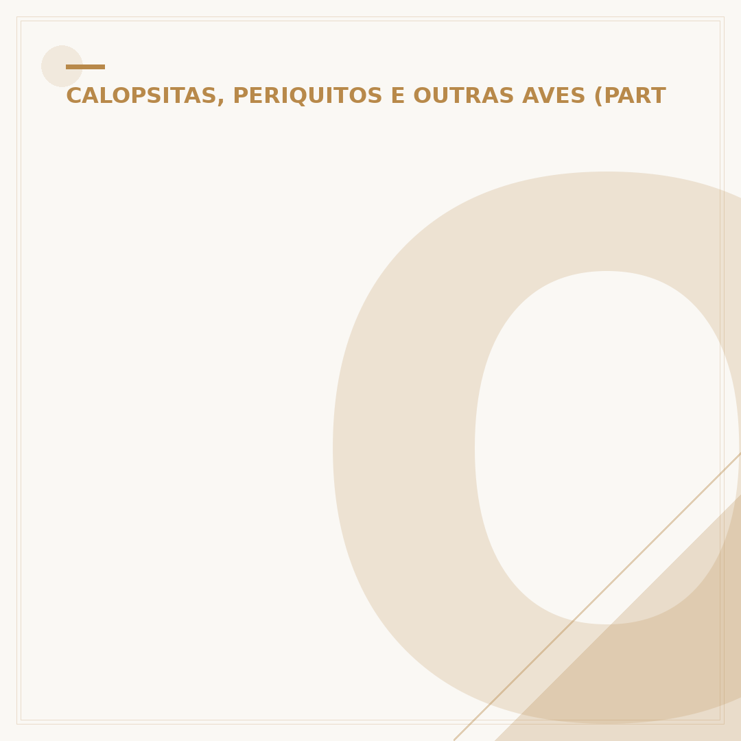 O papagaio: cuidados, alimentação e comportamento