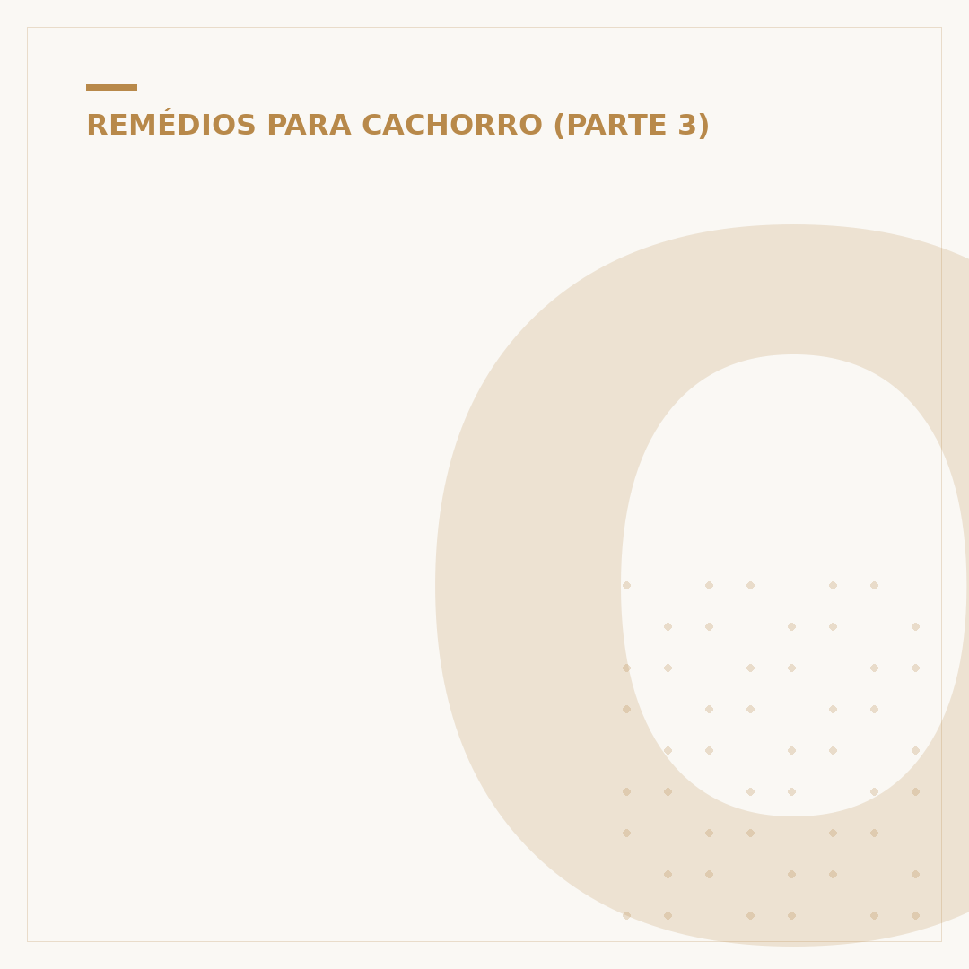 O que fazer para parar de cair pelo do cachorro?