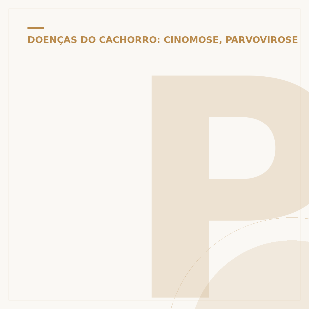 Parvovirose em gatos: o que é e como prevenir