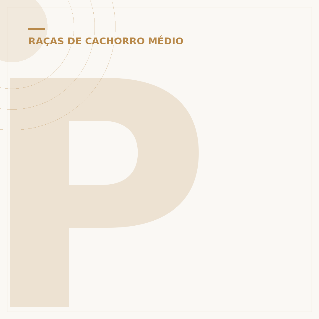 Pastor australiano: características, temperamento e cuidados