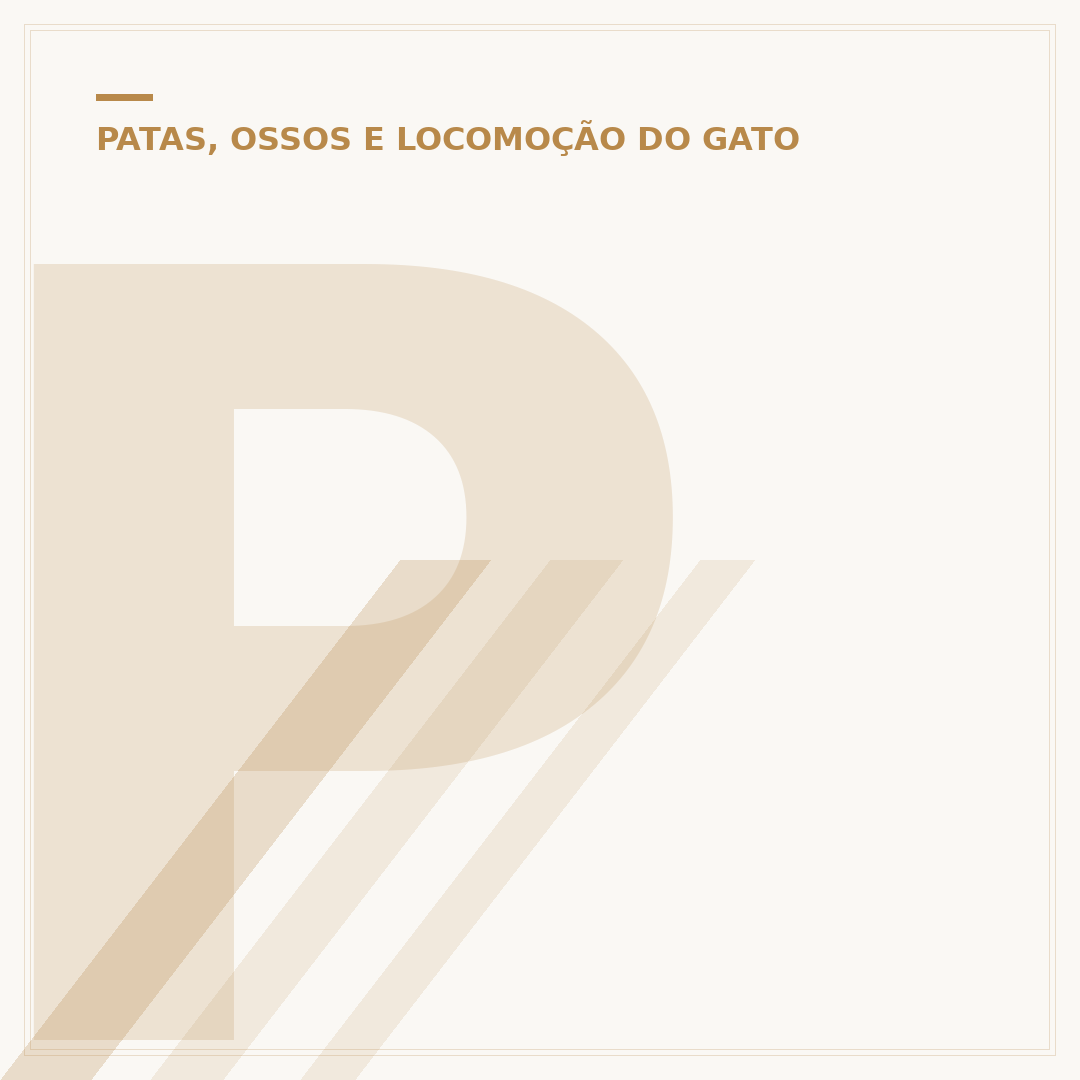 Pata de gato inchada