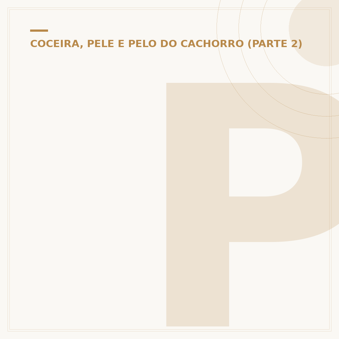 Pele com dermatite em cachorro: causas e como identificar