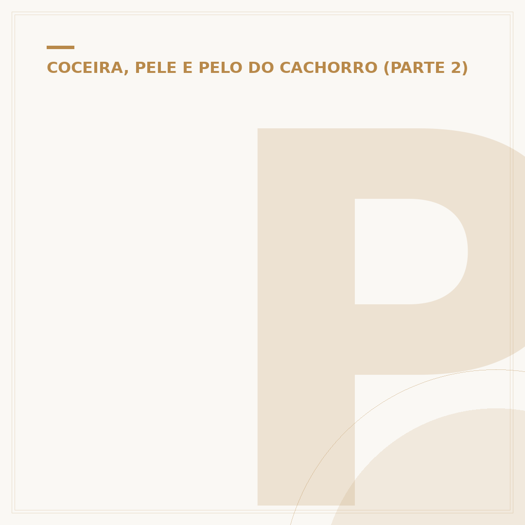 Pele no olho do cachorro: causas, sintomas e cuidados