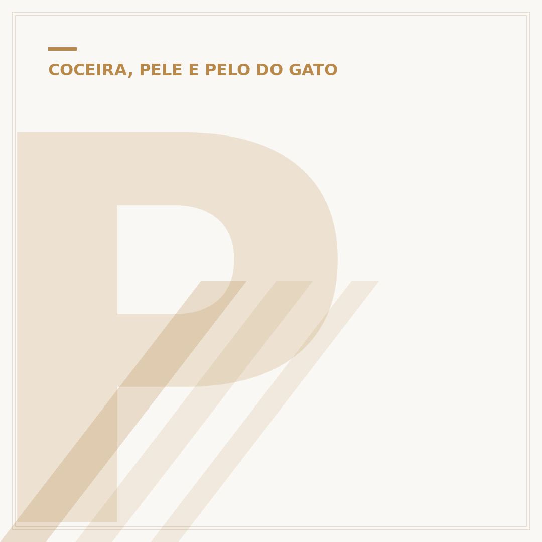 Pelo de gato na bochecha: entenda a função e cuidados