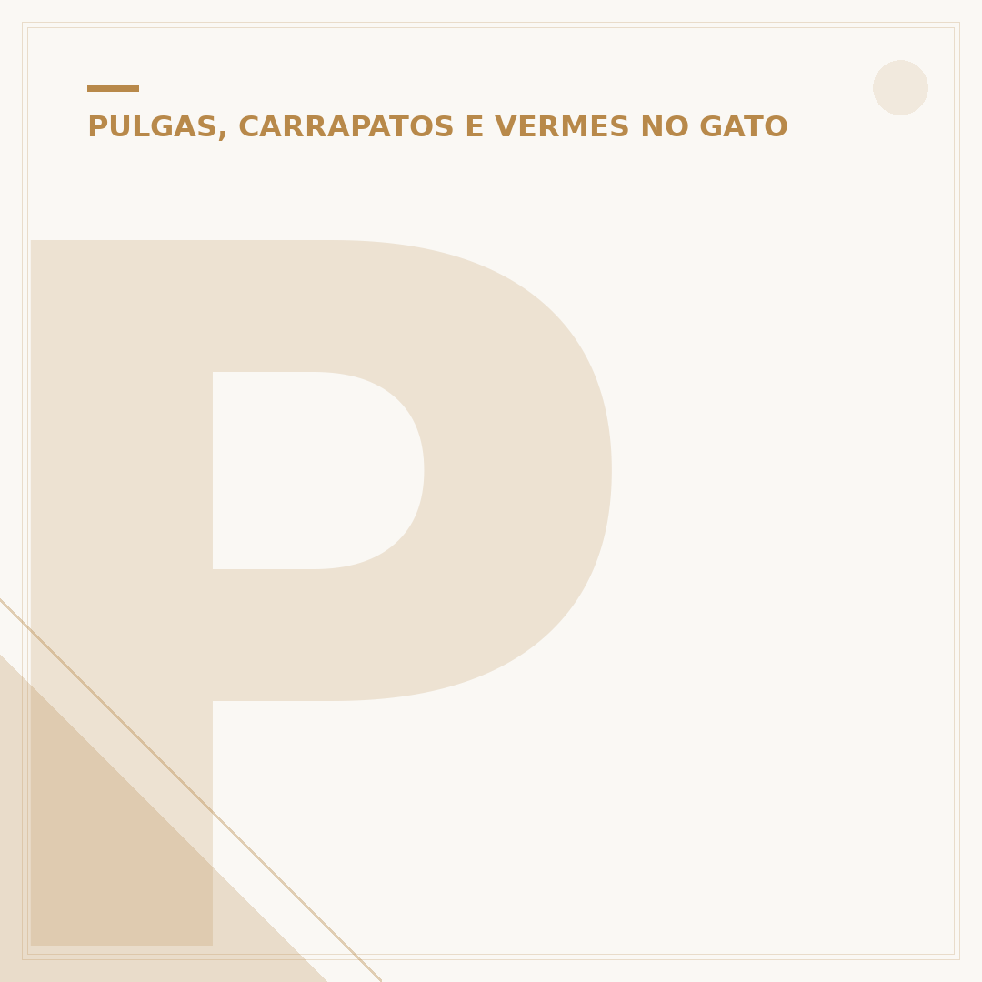 Pente para tirar pulga de gato: o que é e como usar
