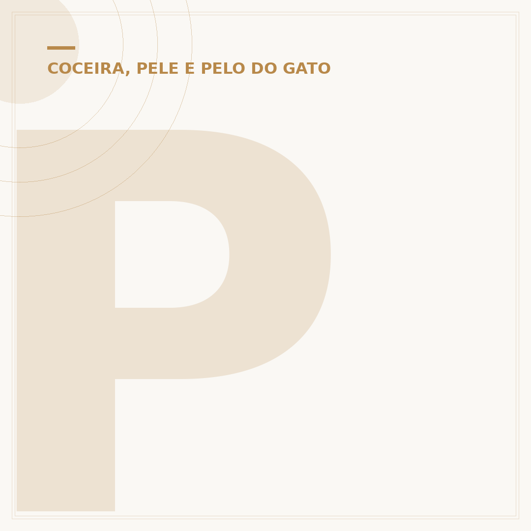 Perda de pelo em gatos: causas, tratamentos e prevenção