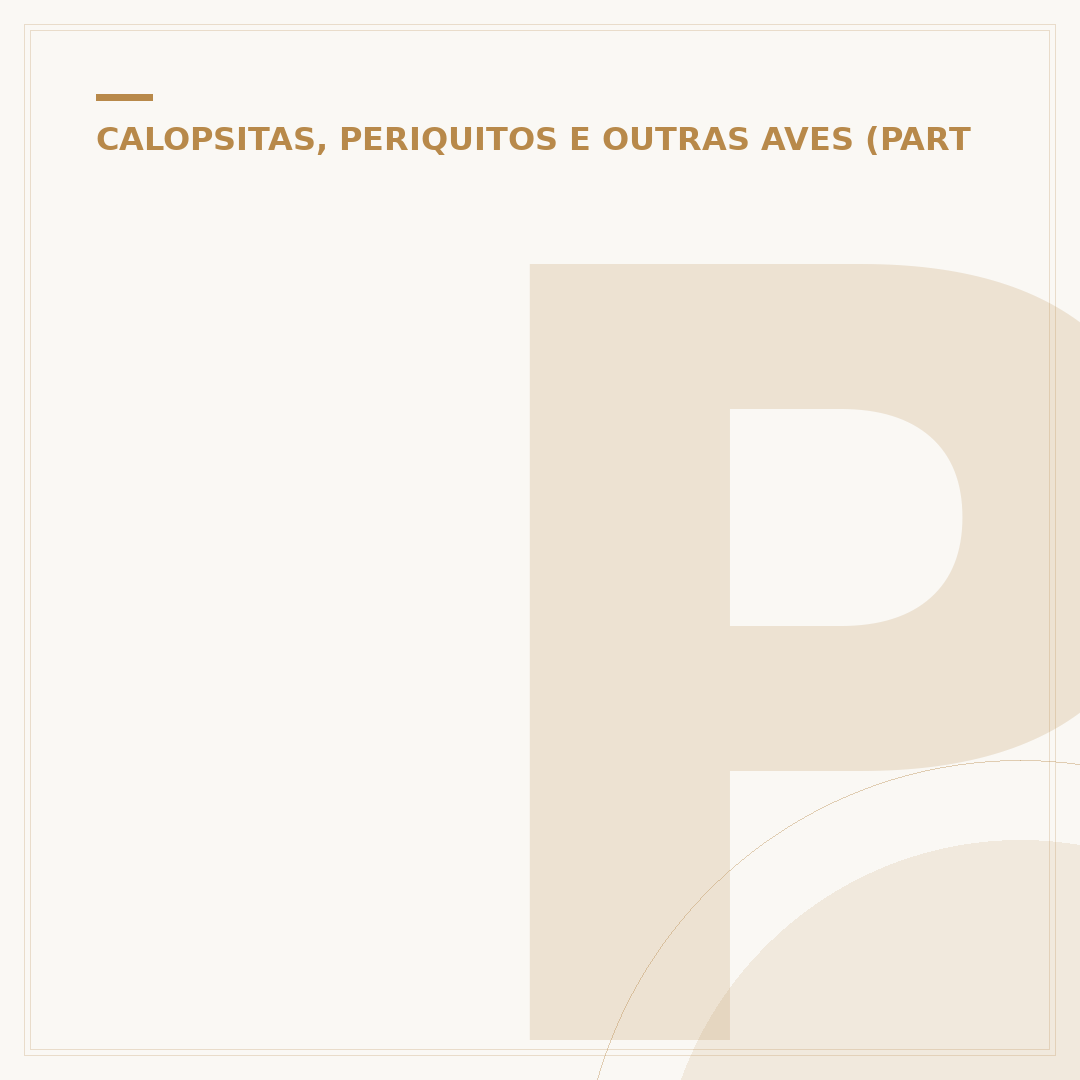 Periquito falar: como ensinar e o que esperar de seu pássaro