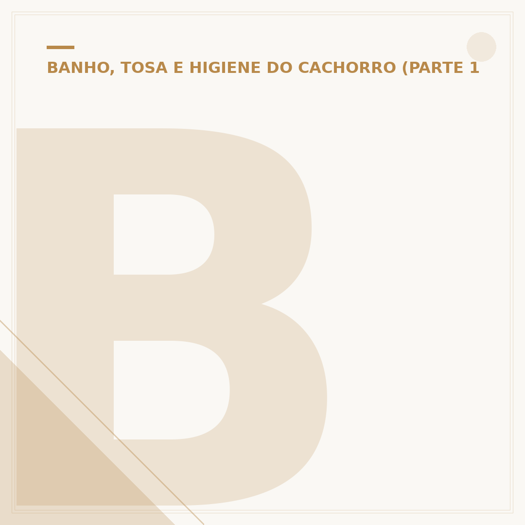 Banho e tosa de pets
