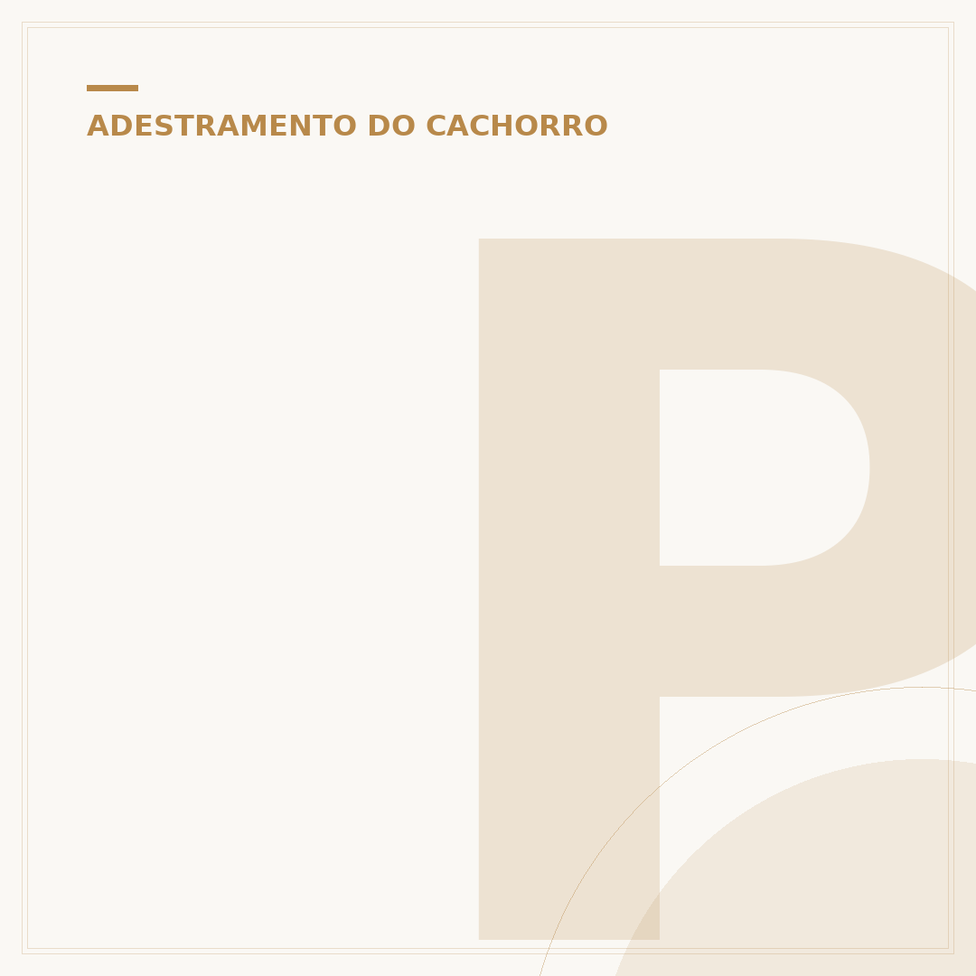 Petisco para cachorro adestramento: recompensa que ensina
