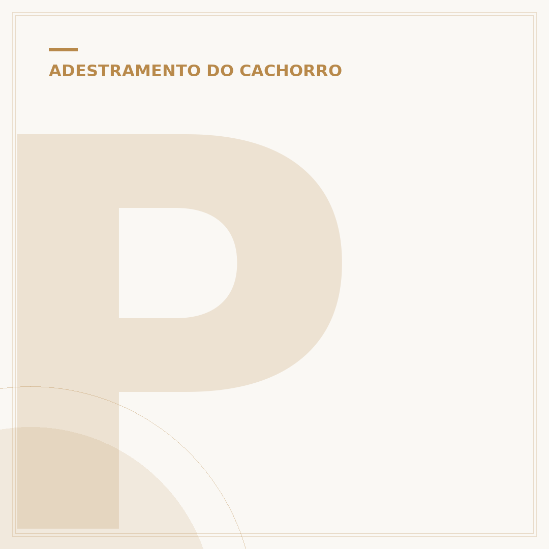 Petisqueira para adestramento