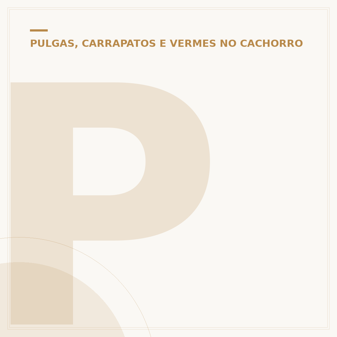 Picada de pulga em cachorro: causas, sintomas e como tratar