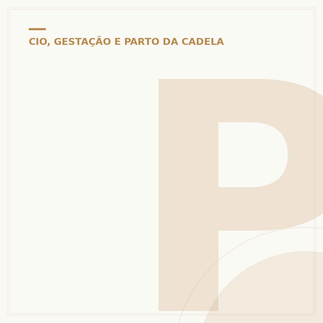 Piometra de coto