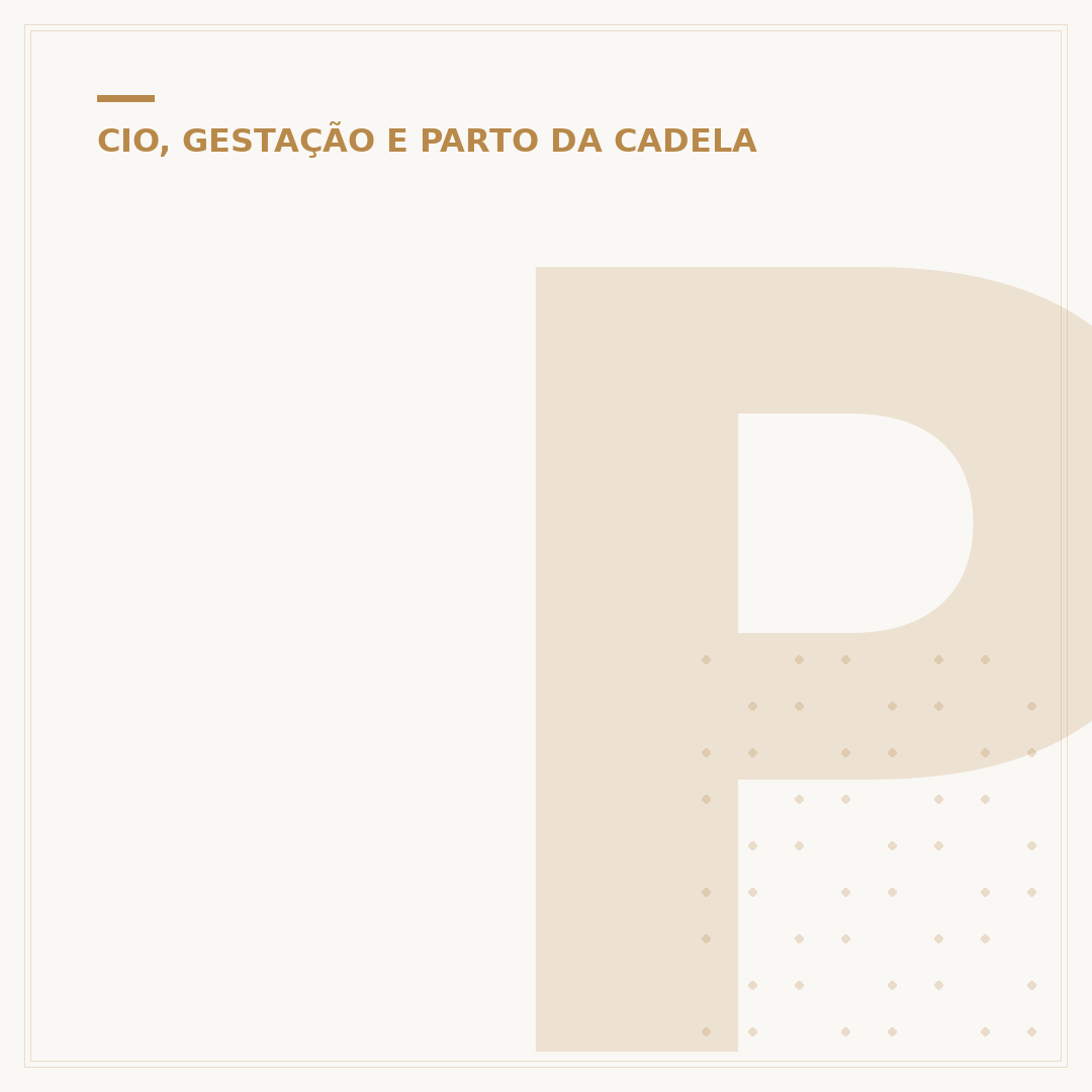 Piometra: quanto tempo de vida resta para a cadela?