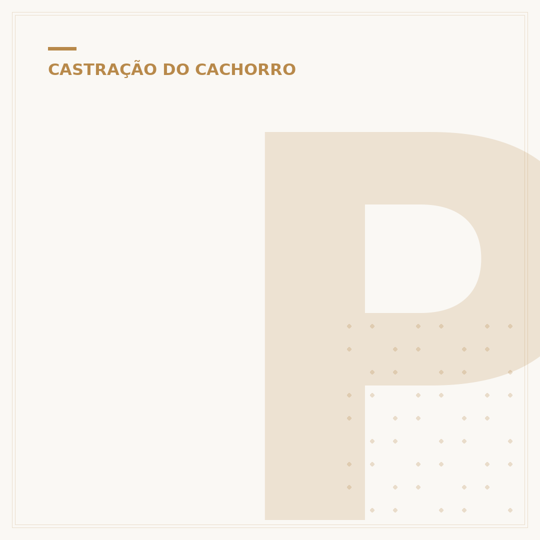 Pode castrar cachorro com 3 meses?