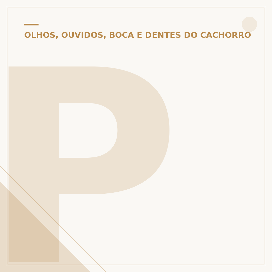 Pomada para ouvido de cachorro: cuide da saúde auditiva