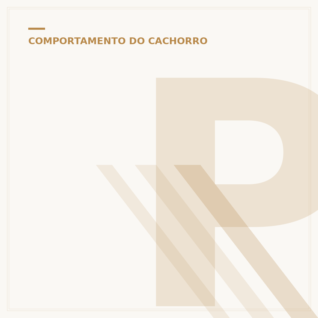 Porque o cachorro choraminga: causas e o que fazer