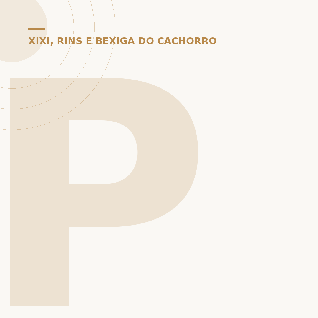 Problema renal em cachorro: sinais, causas e cuidados