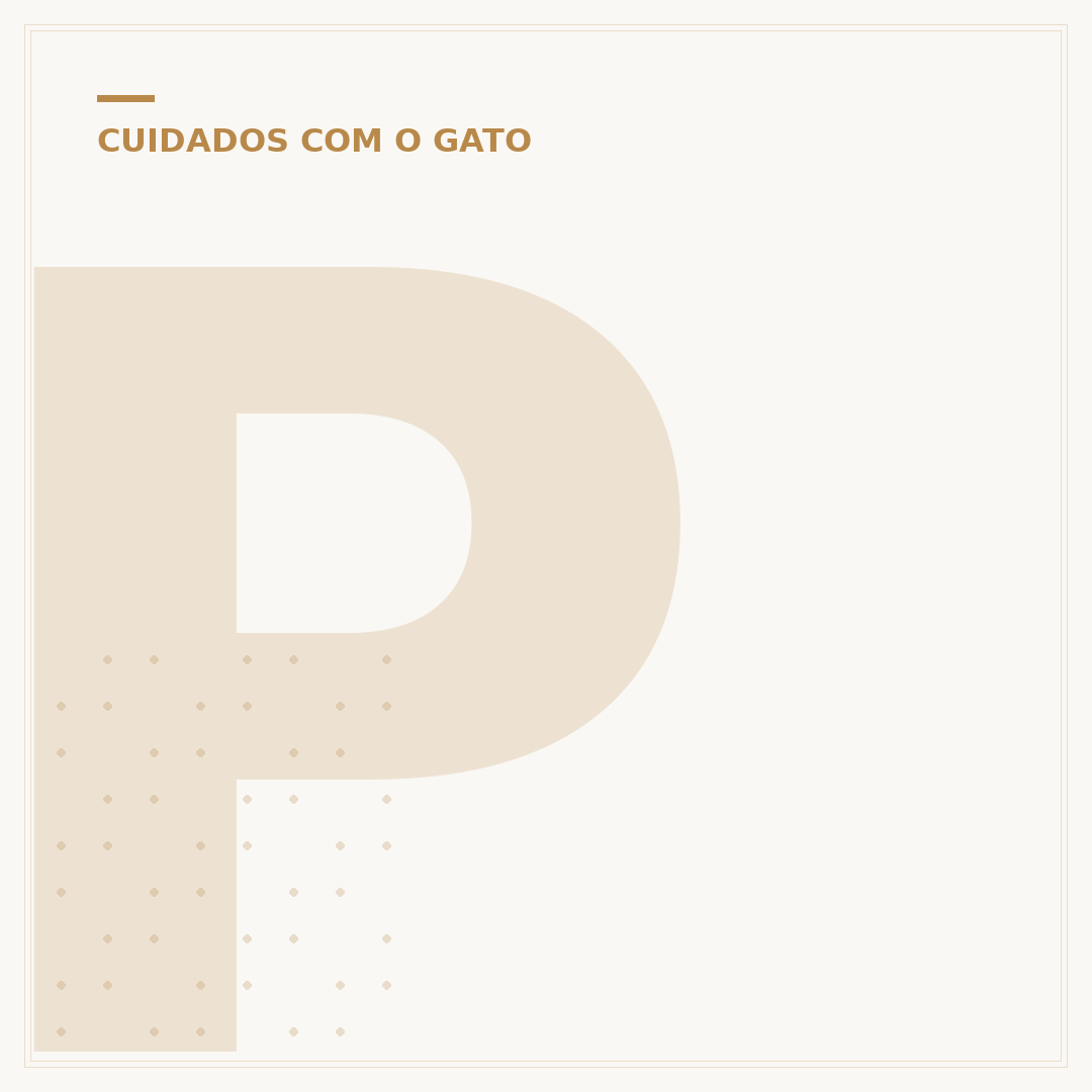 Prolapso retal em gato filhote: causas e cuidados