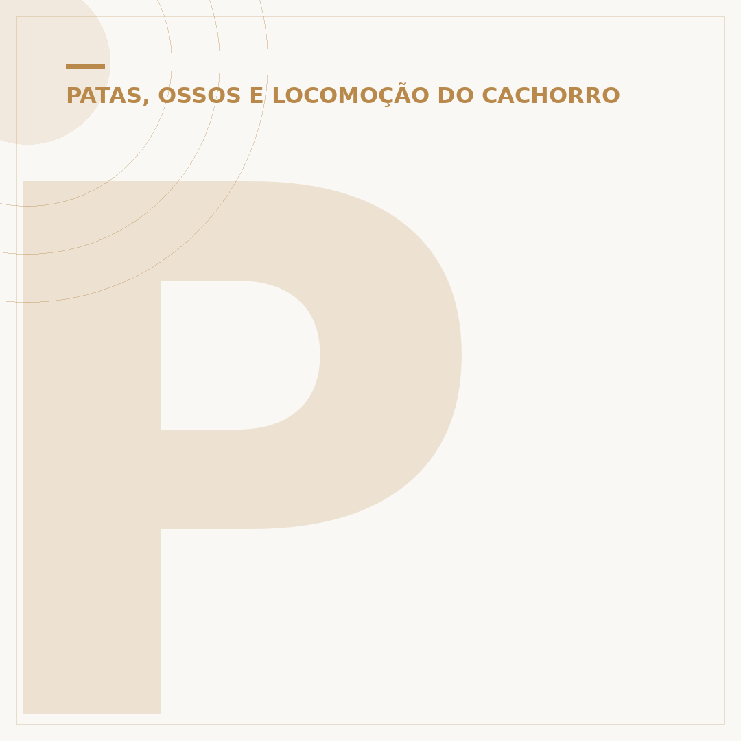 Prótese para cachorro pata dianteira: o que saber