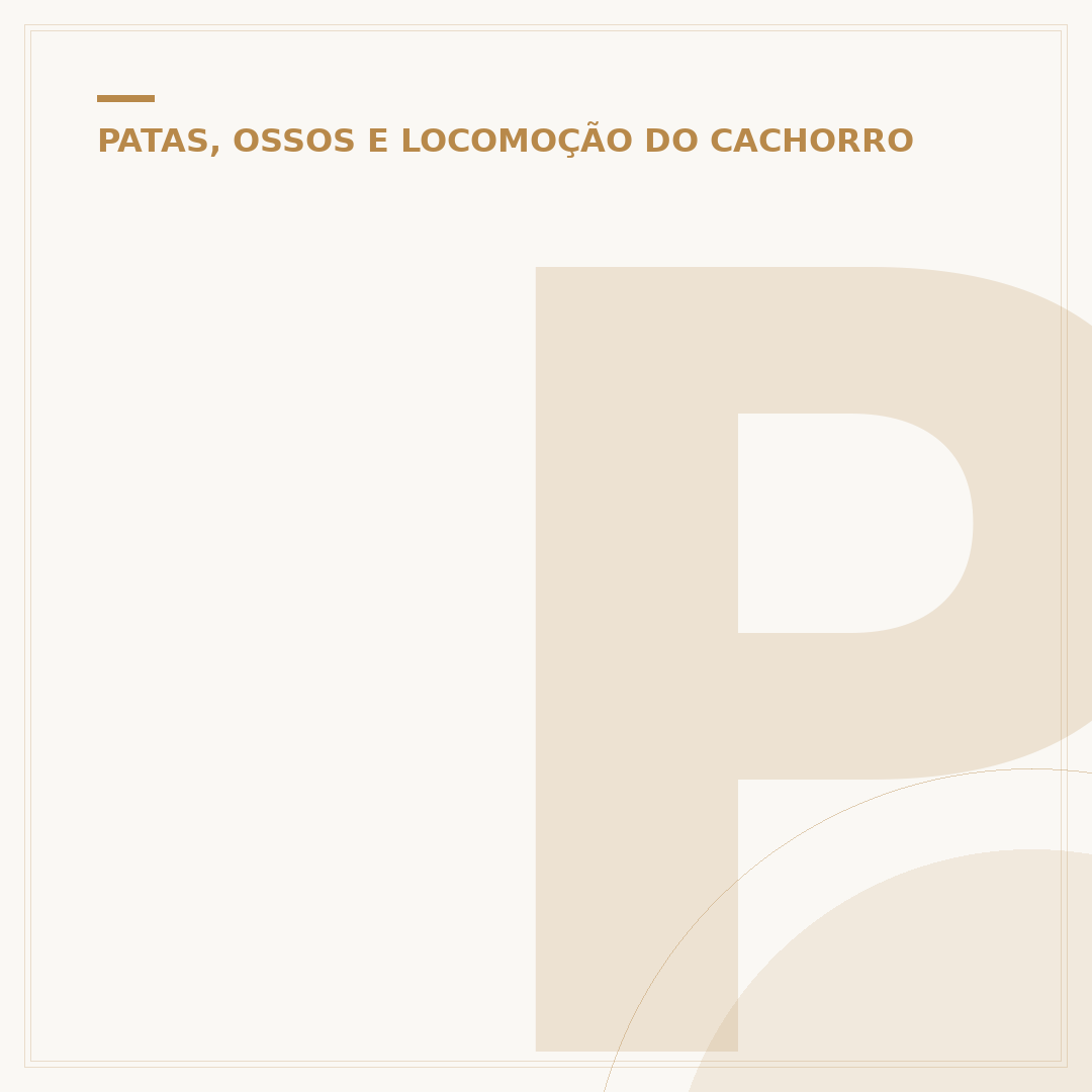 Prótese para cachorro pata traseira: entenda as opções