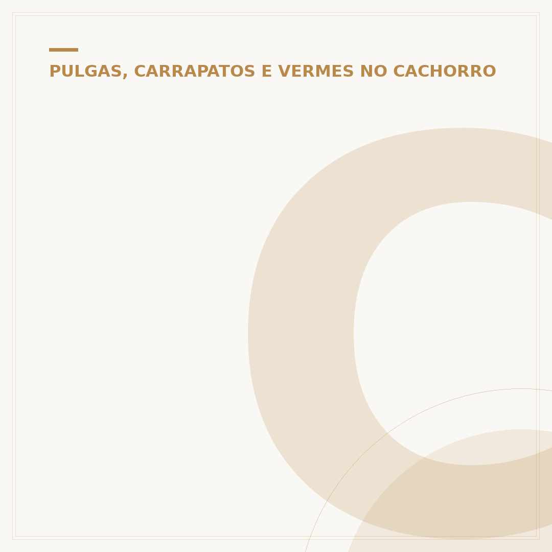 Como acabar com pulgas no cachorro e no ambiente